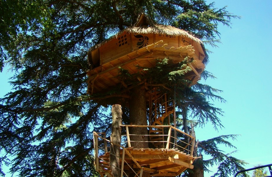 Terrasse d'une cabane dans les arbres en Charente-Maritime