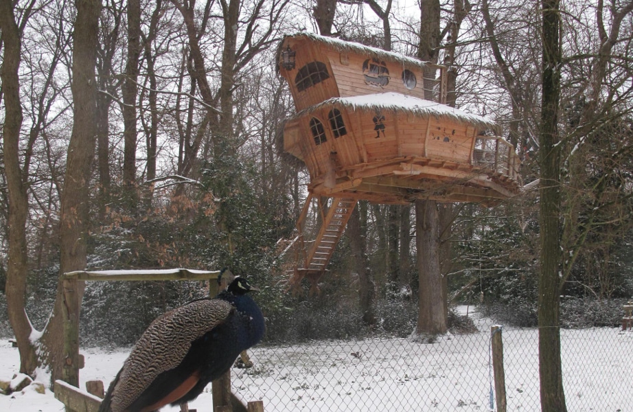 Comment un arbre se protège-t-il du froid l'hiver?