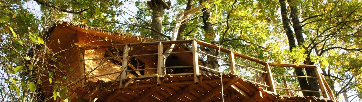 Dormir dans une cabane dans les arbres : le must pour rencontrer nos amis  les écureuils ! - Sur un arbre perché