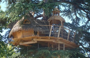 Cabane dans les arbres près de Bordeaux