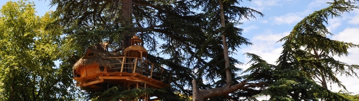 Photo d'une cabane dans les arbres près de Bordeaux