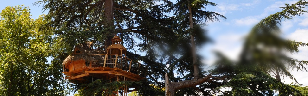 Une cabane dans les arbres en forme de château