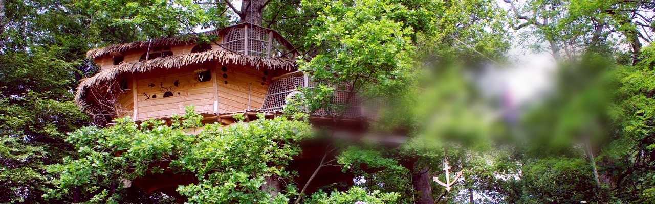 Une cabane dans les arbres pour la famille